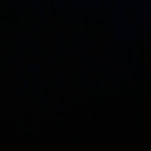 Meet your Posher, Cecily